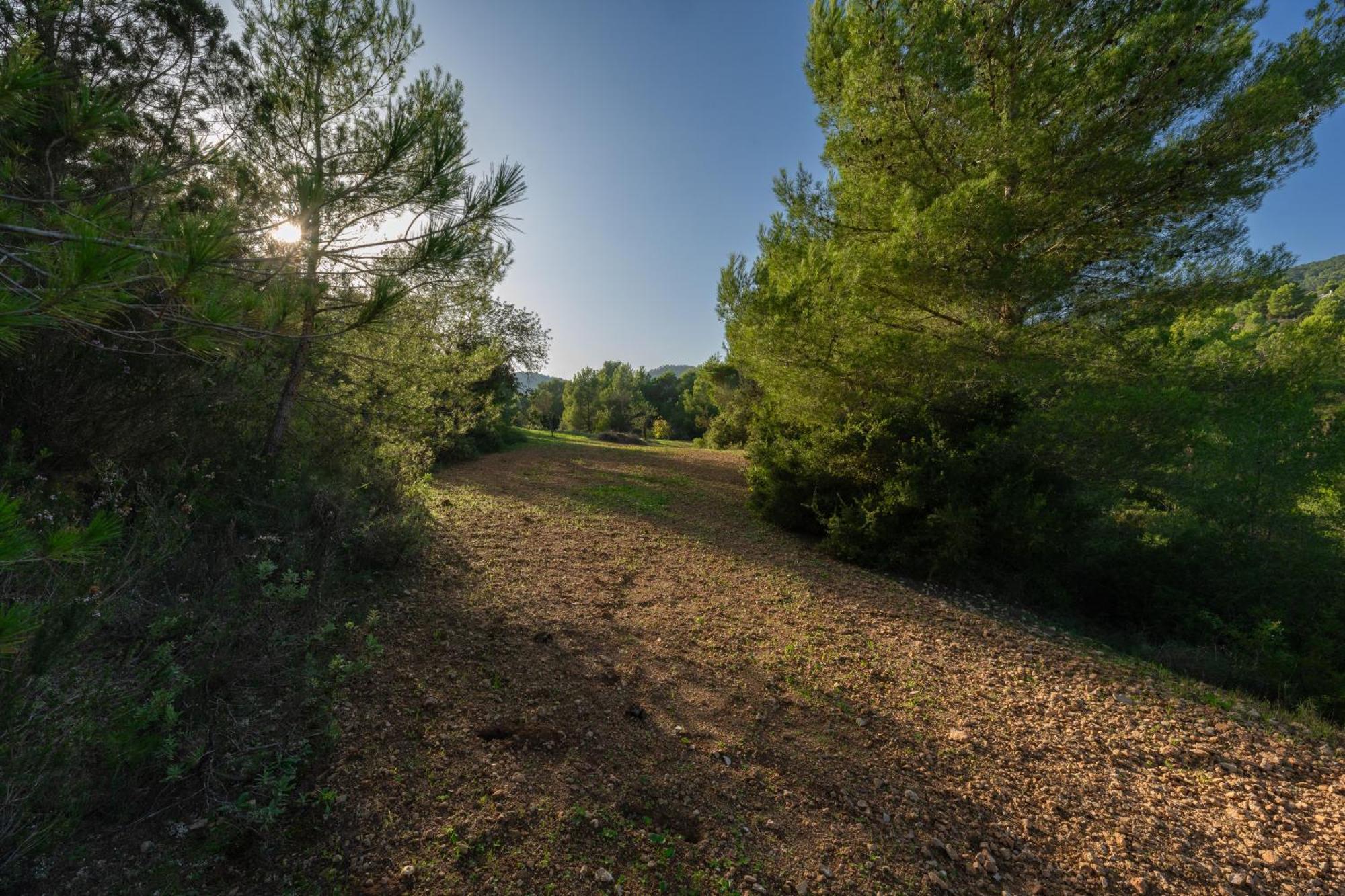 Villa Great Paradise San José Dış mekan fotoğraf